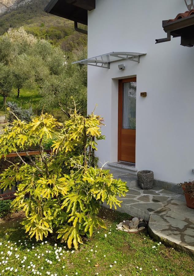 Il Bogno B&B Lierna Luaran gambar